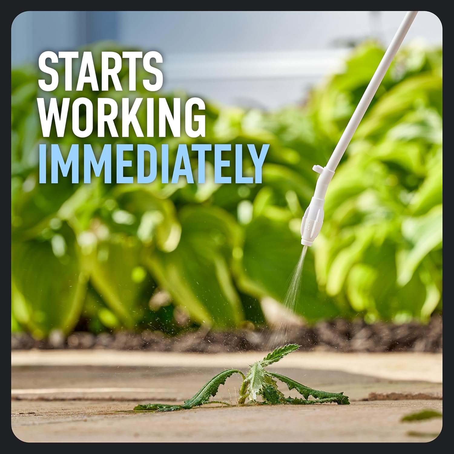 Roundup Dual Action 365 Weed & Grass Killer Plus 12 Month Preventer, 1 gal.