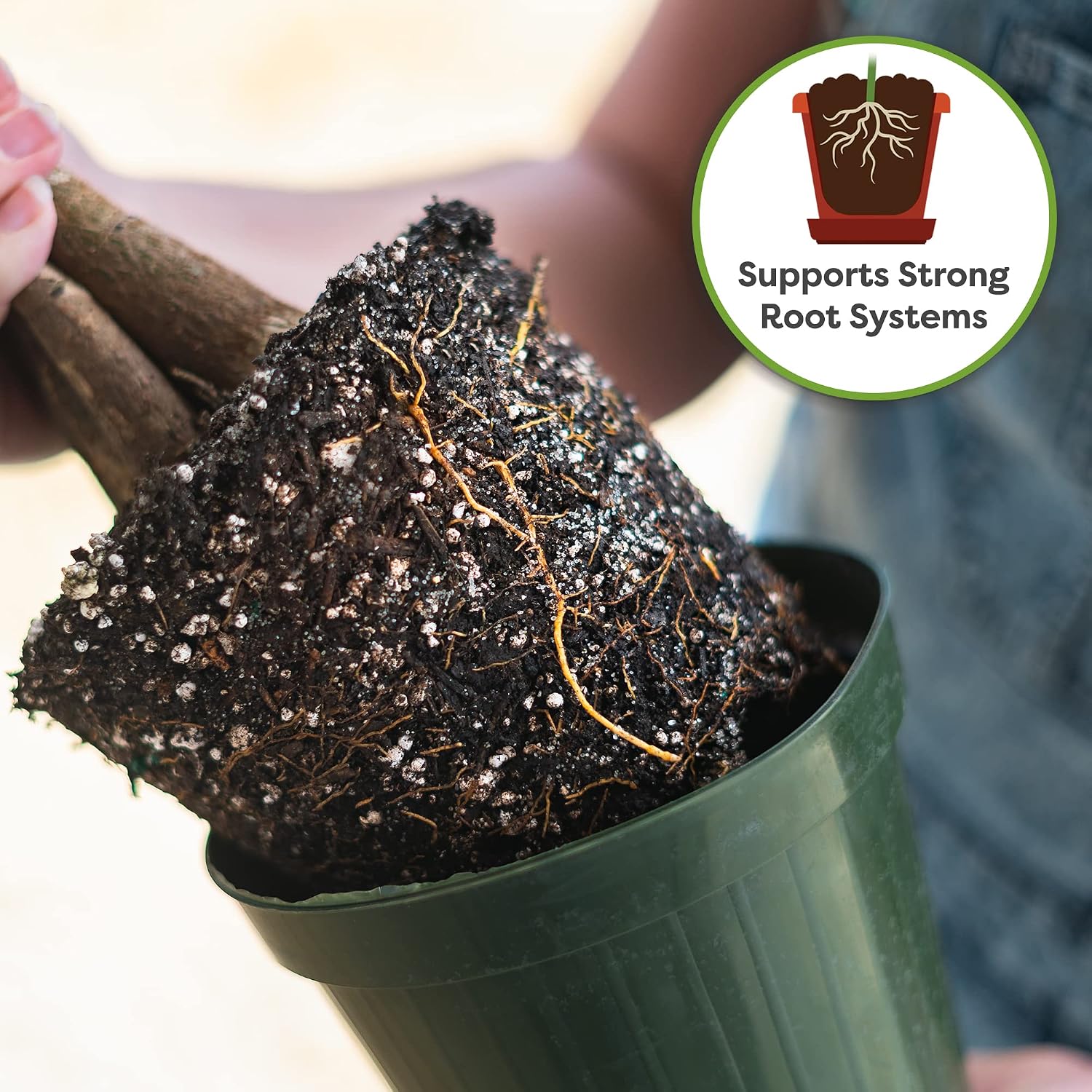 Perfect Plants Money Tree Potting Soil, 2 qt, Indoor Coco Coir Mix