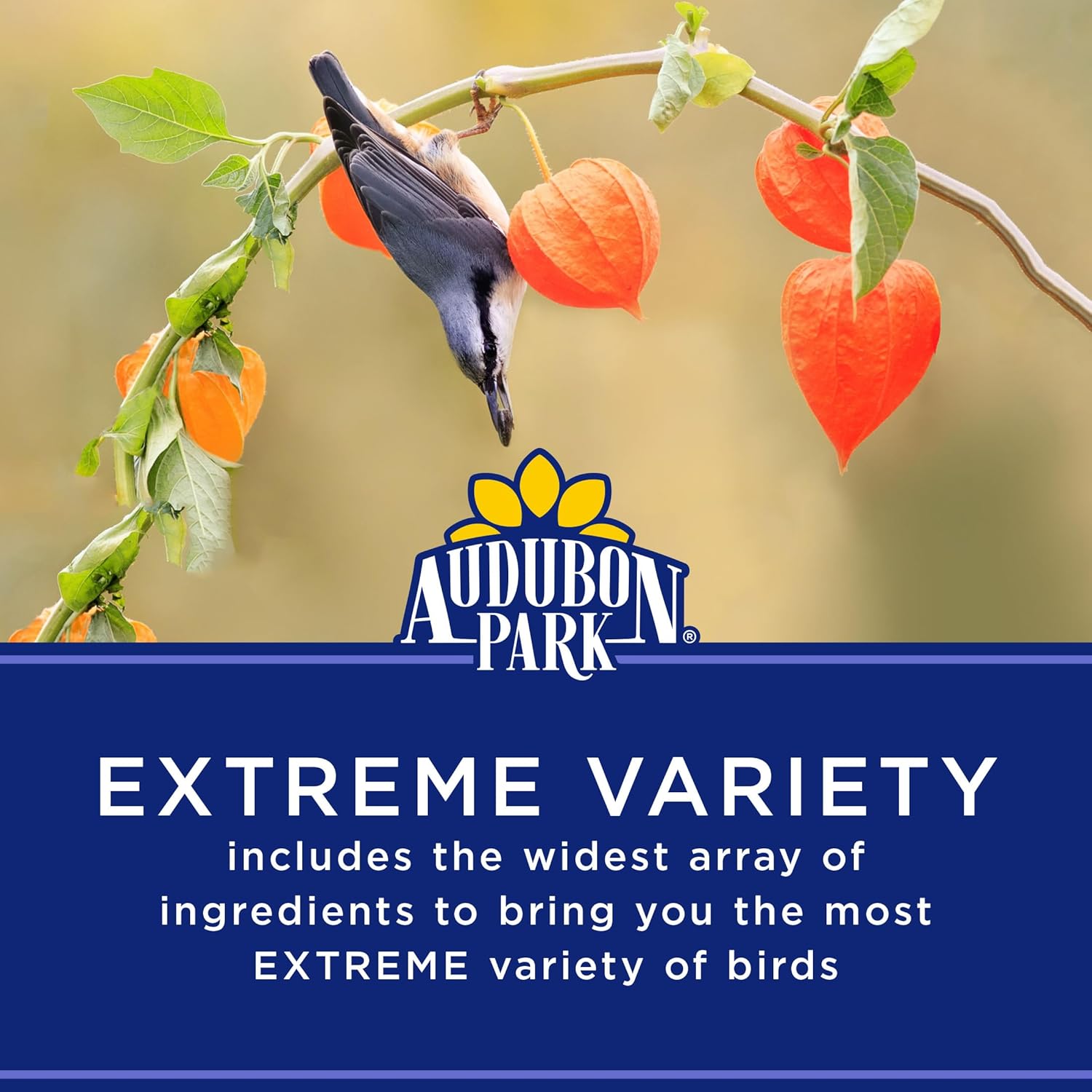 Audubon Park Extreme Variety Wild Bird Seed for Outside Feeders, 15-lb. Bag