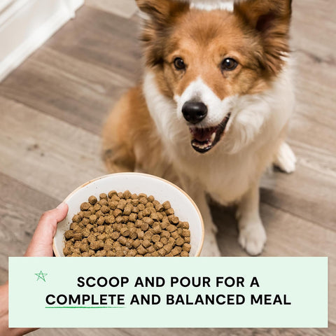 Open Farm Grain Free Dry Dog Food, Turkey and Chicken Kibble, 22lb Bag