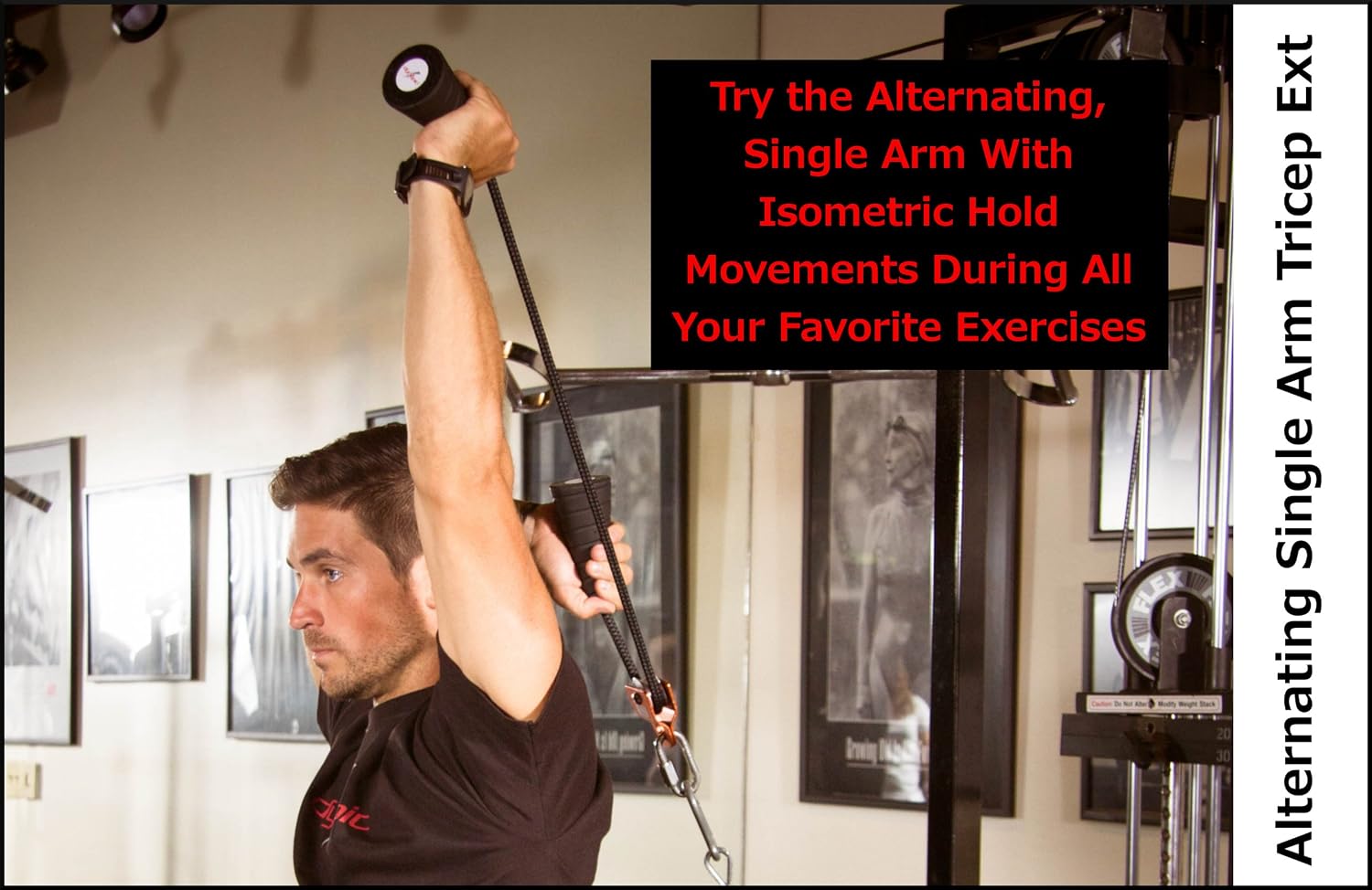 Dynepic Sports Spiral Strength Dually, Dynamic Tricep Rope