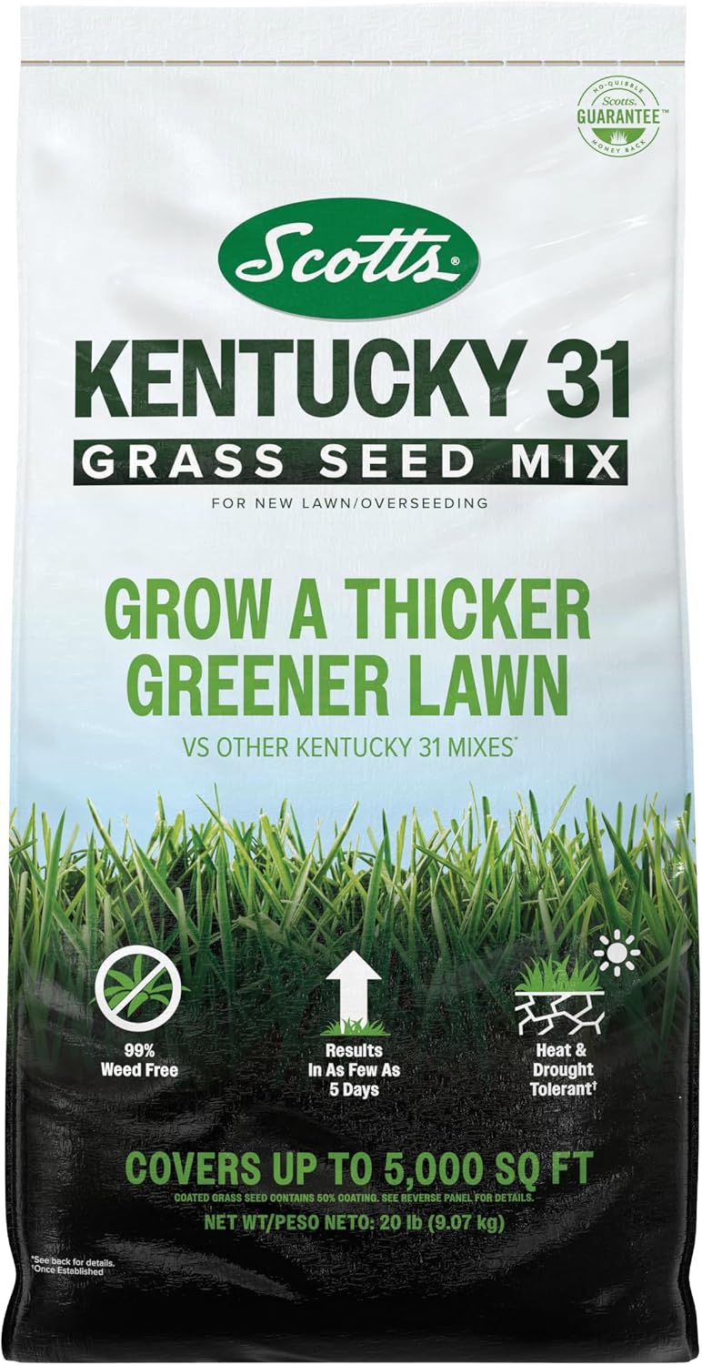 Scotts Kentucky 31 Grass Seed Mix, 20 lbs.