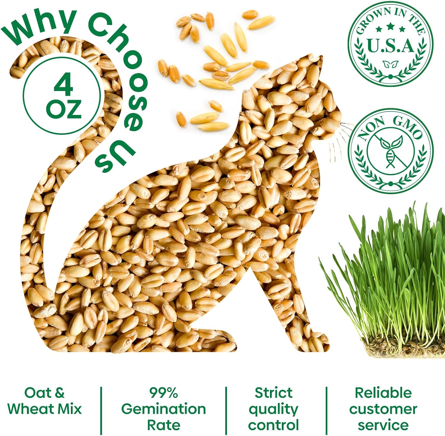 Cat Grass Seeds, 4 OZ, Wheat & Oat Seeds Mix