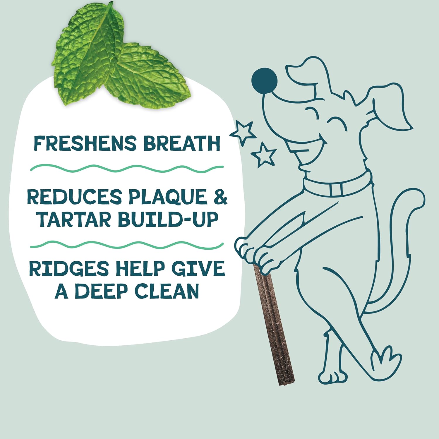 Shameless Pets Blueberry & Mint Dental Chews for Dogs, 8 Chews