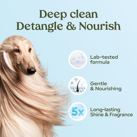 PAWFUME Dog Shampoo and Conditioner, Blue Ribbon, 1-Pack