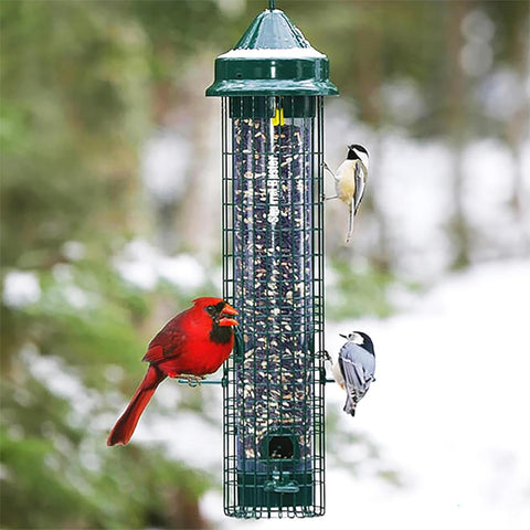 Squirrel Buster Classic Squirrel-proof Bird Feeder w/4 Feeding Ports, 2.4-pound Seed Capacity