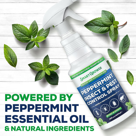 Peppermint Oil Spray for Rodents, Insects, Pest Control. Ready to Use 16oz