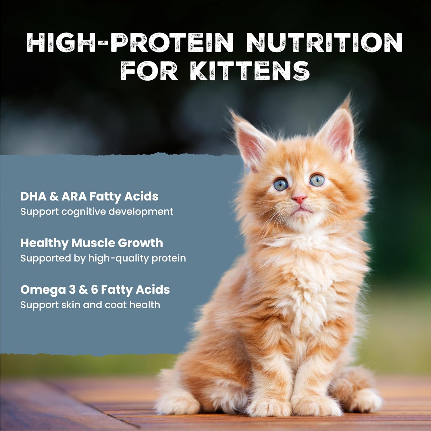 Blue Buffalo Wilderness Variety Pack Kitten Paté Wet Cat Food, 3 oz, 6 ct