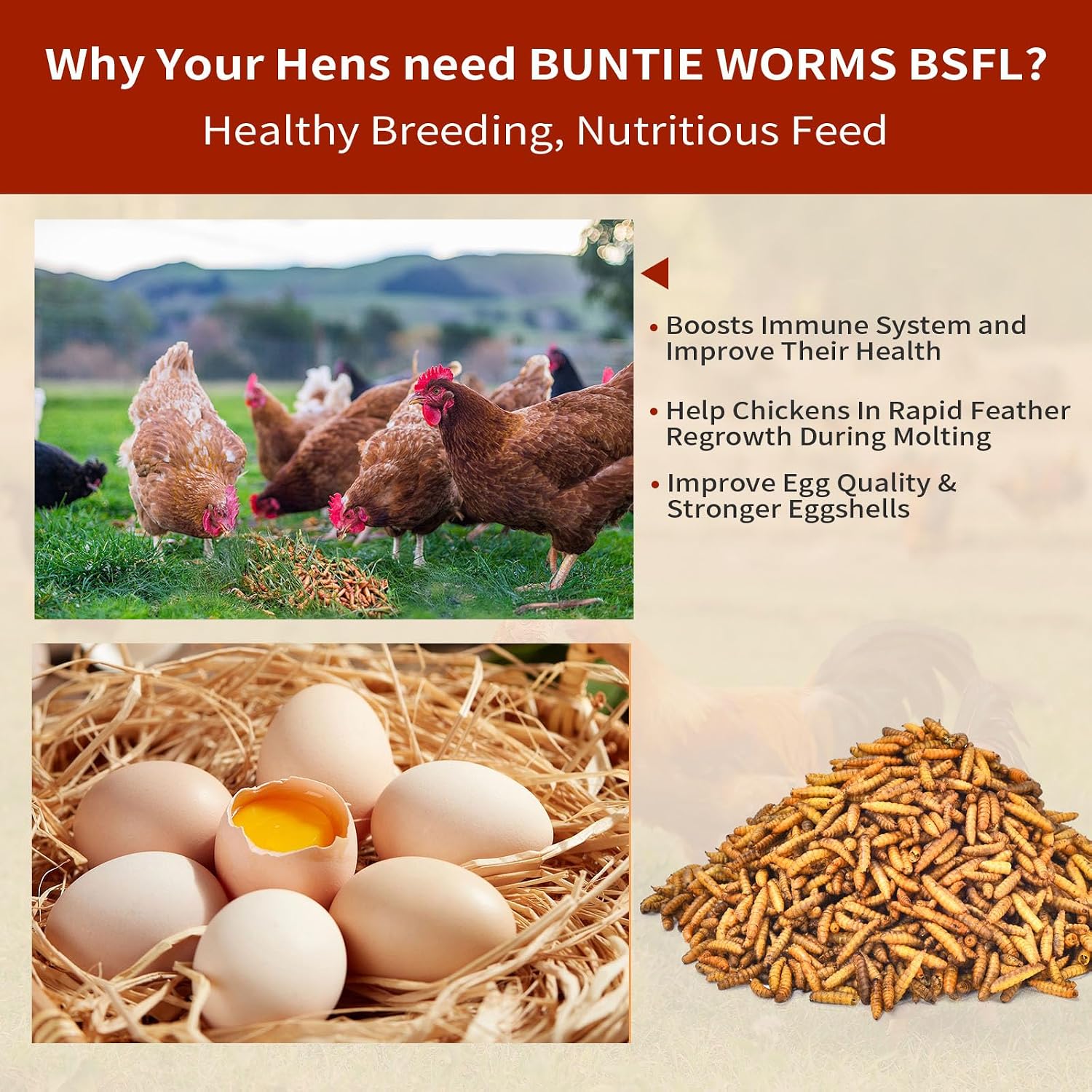 BUNTIE WORMS 10LB Dried Black Soldier Fly Larvae for Chickens Food