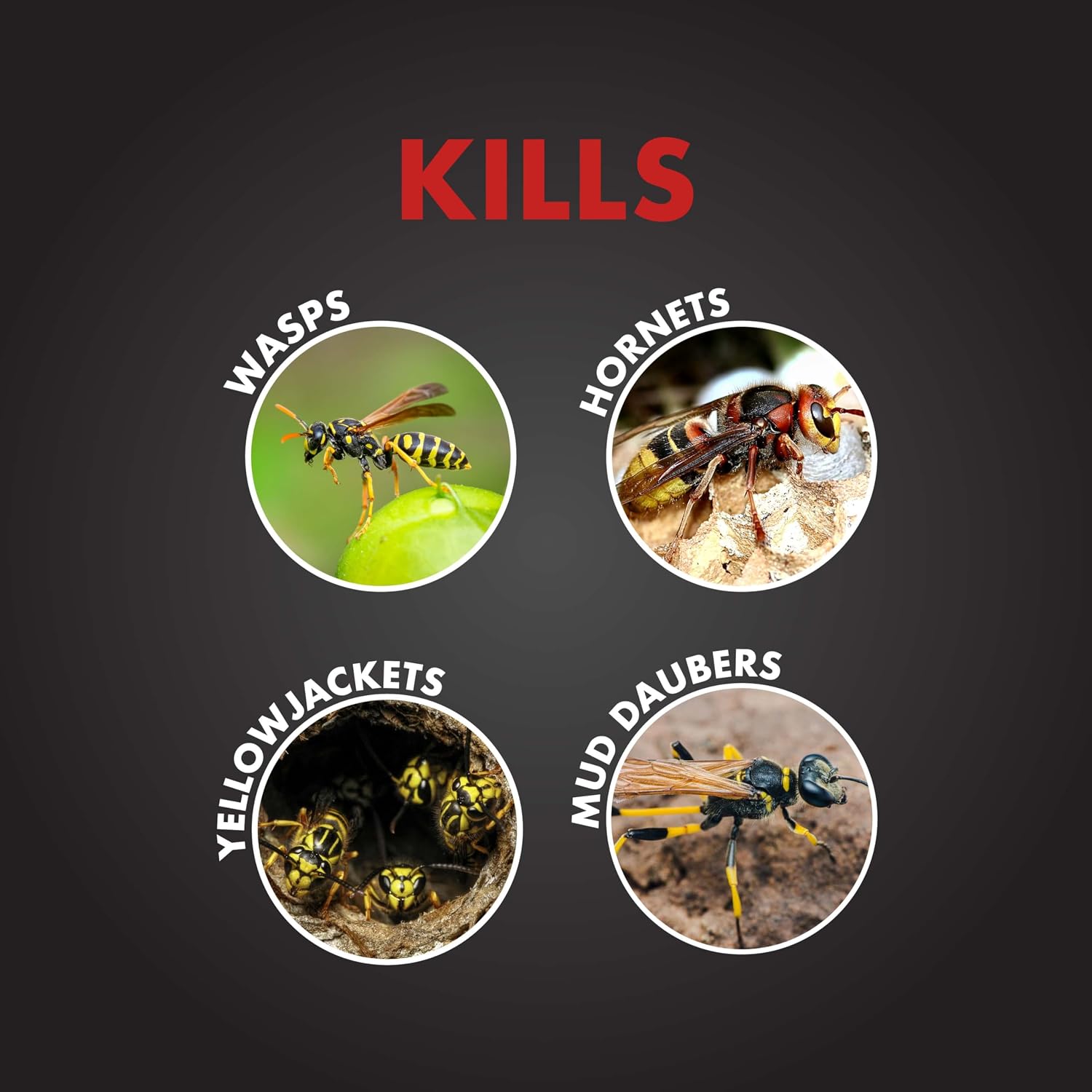 SpectracidePRO Wasp & Hornet Killer Spray, Kills Entire Nest, 18 Oz