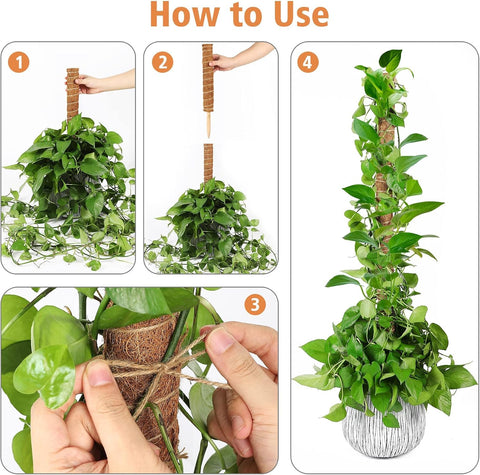 JJGoo Moss Pole for Plants Monstera,【8 Pack】 23.6 inch Plant Support Pole, Extendable Coir Totem Pole for Potted Plants Pothos, Train Indoor Climbing Plants to Grow Upwards