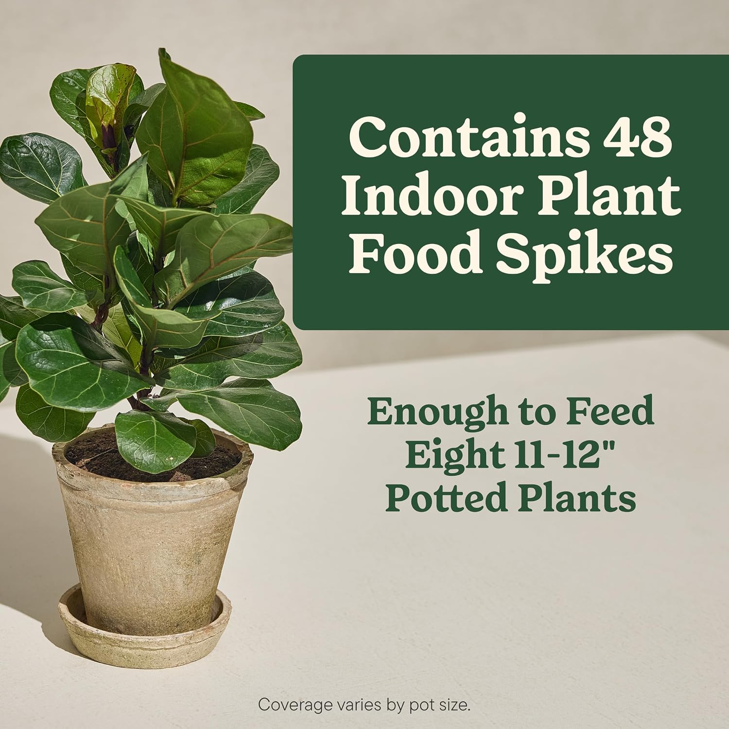 Miracle-Gro Indoor Plant Food Spikes for All Plants, 48 Spikes