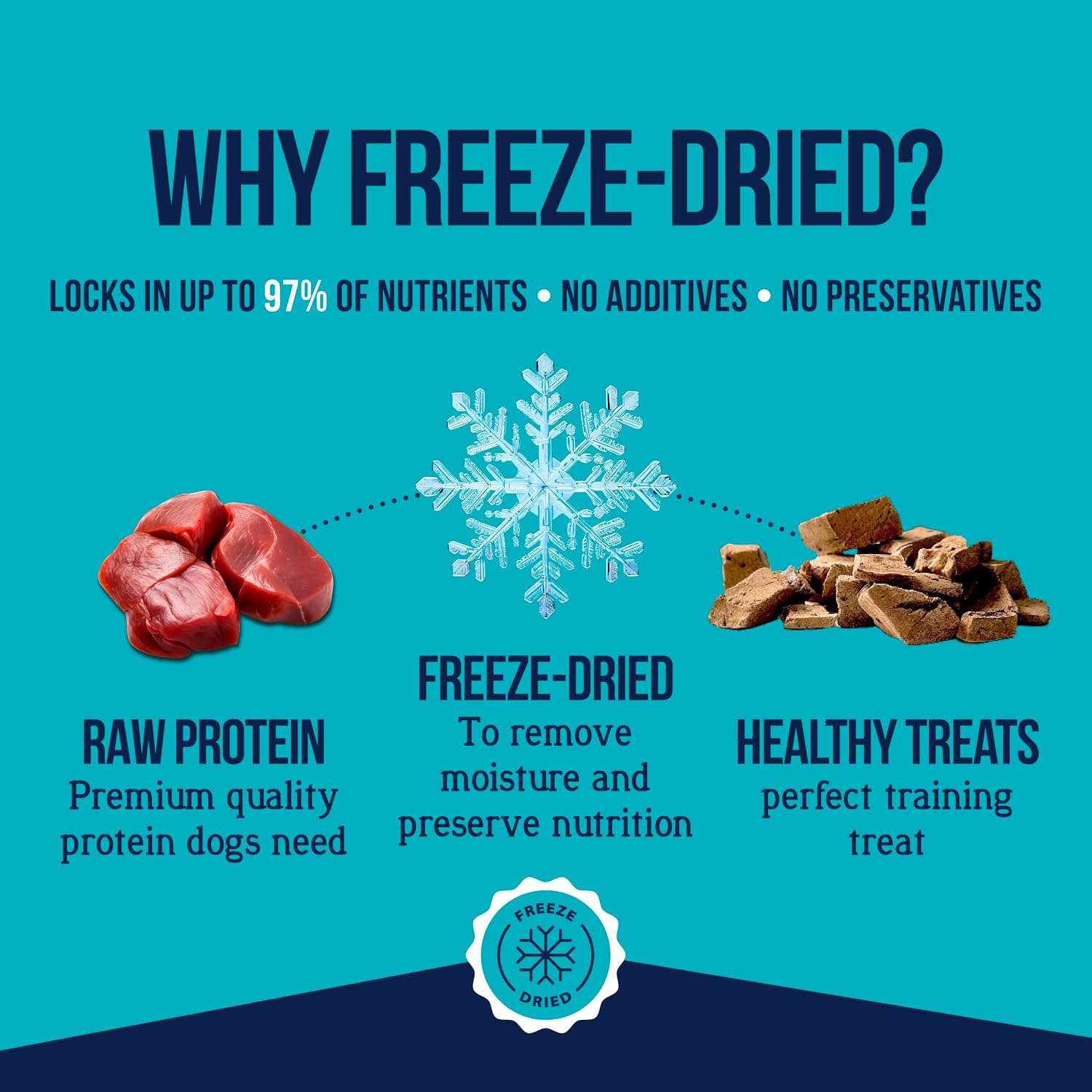 Stewart Freeze Dried Dog Treats, 100% Beef Liver, 21 oz Tub