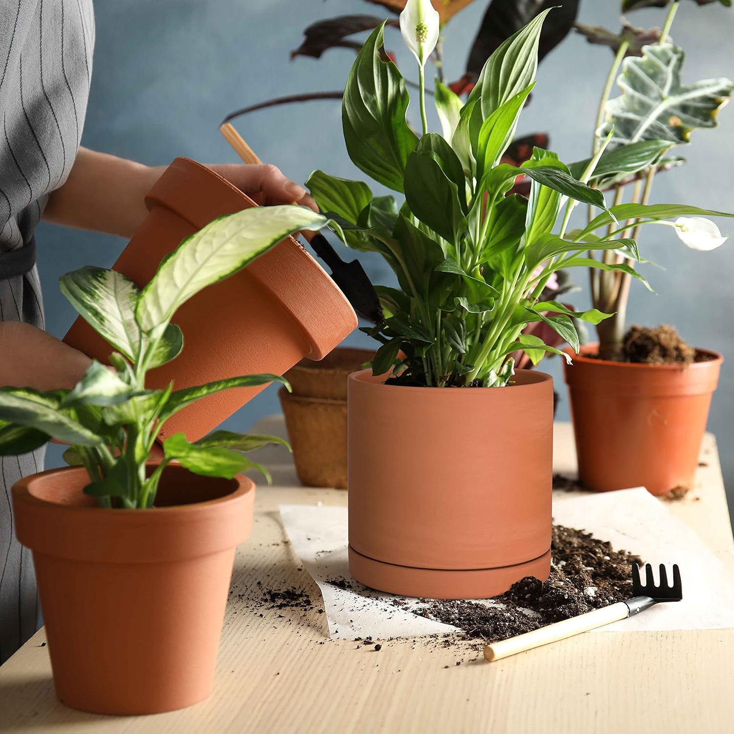 D'vine Dev Terracotta Plant Pot with Saucer, 6 Inch, 40-X-A-3
