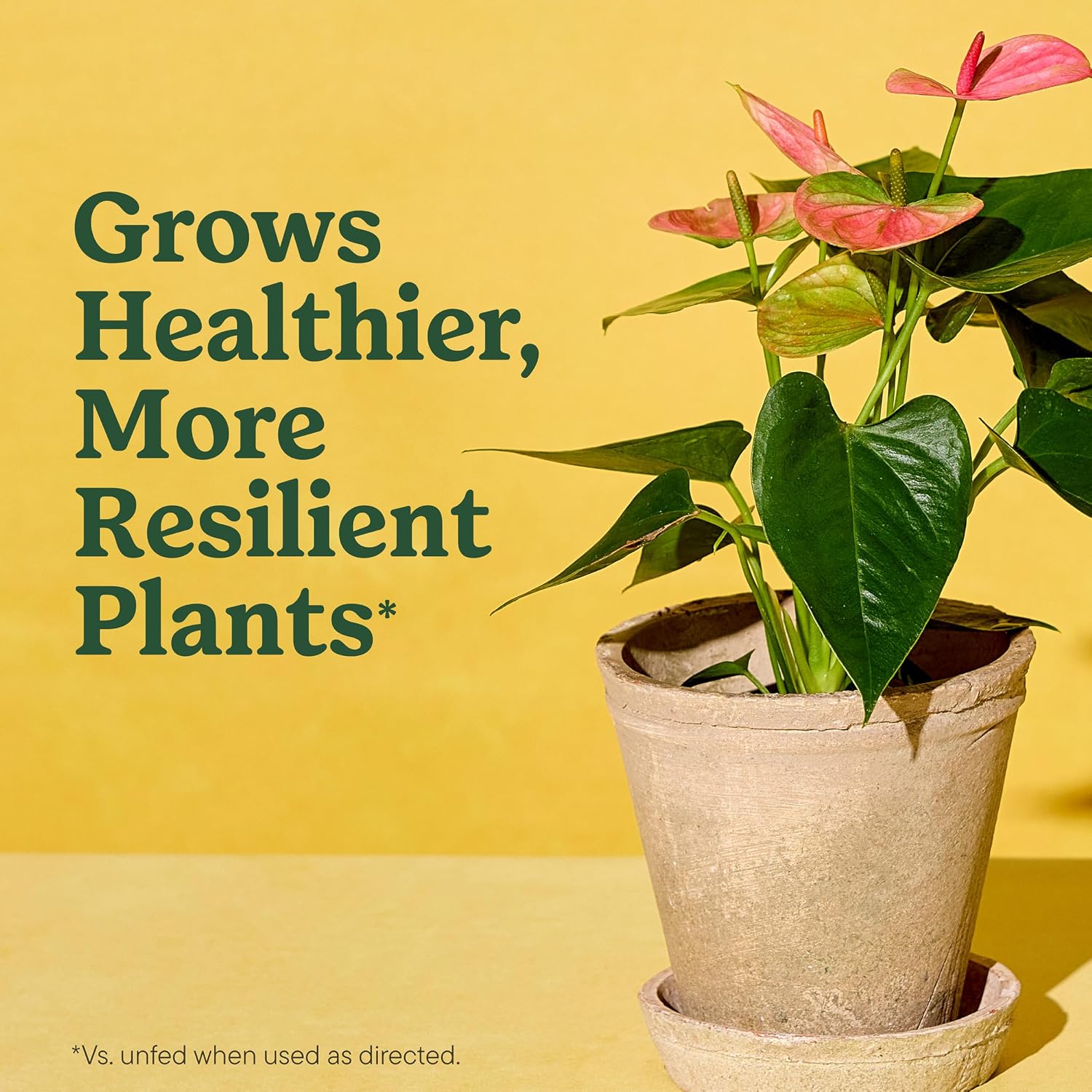 Miracle-Gro Indoor Potting Mix for All Plants, 16 qt.