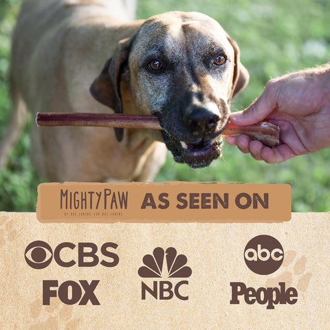 Mighty Paw 12" Bully Sticks for Dogs - Large, Medium and Small Breeds Chew
