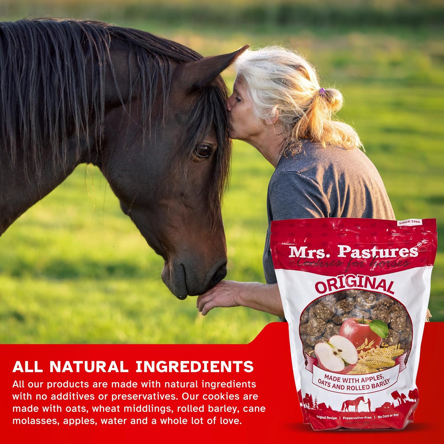 Mrs Pastures Cookies and Treats for Horses - Premium Horse Treats - Made with Apples, Oats, and Rolled Barley - Preservative Free - All Natural Ingredients - No Corn or Soy (15lb Bucket)