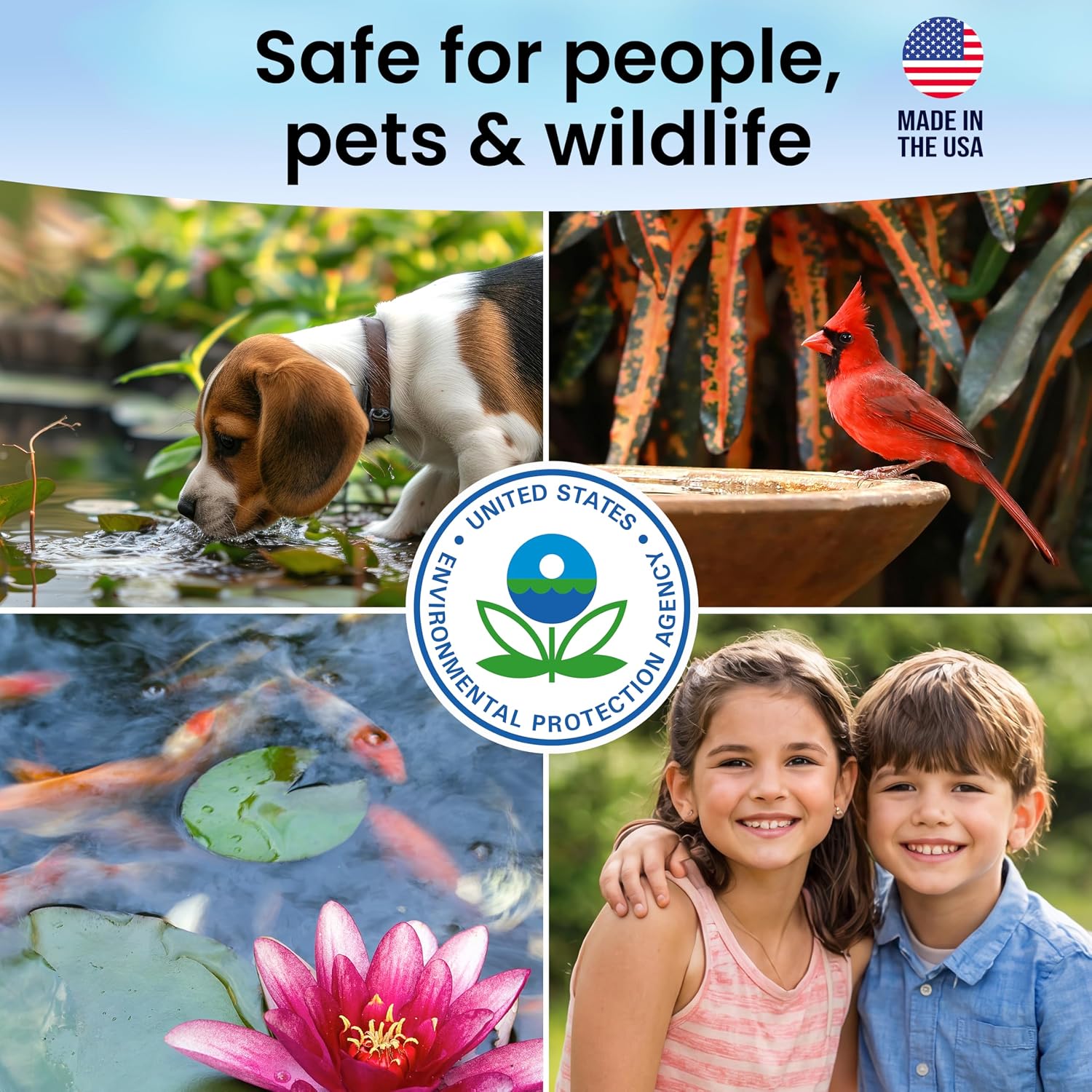MICROBE-LIFT BMC Biological Mosquito Control, Liquid Treatment for Medium-Sized Decorative Water Gardens Up to 2,000 Gallons, Fountains and Ponds, 6 Fluid Ounces