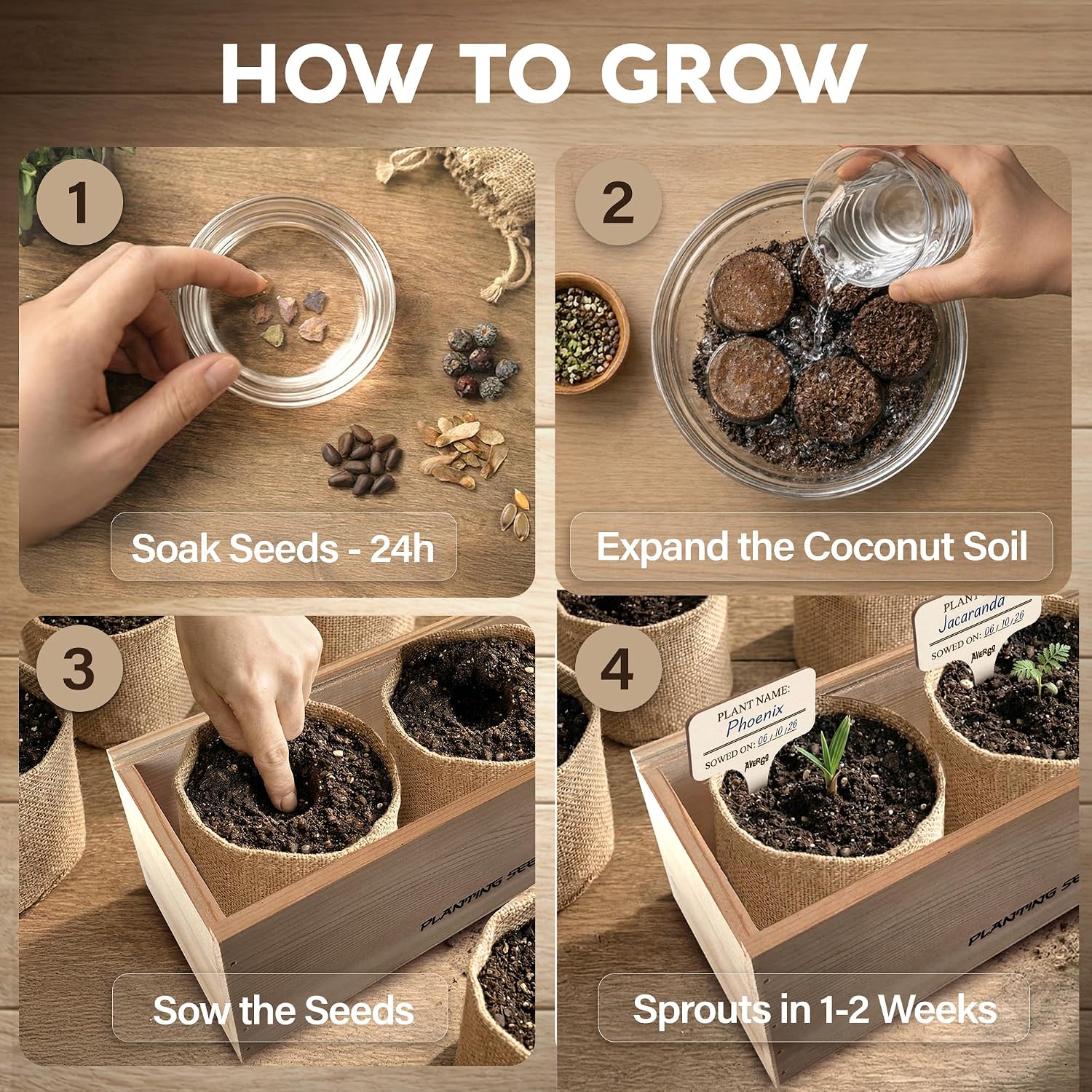 Bonsai Tree Kit Deluxe - Growing 5 Unique Japanese Bonzai Trees