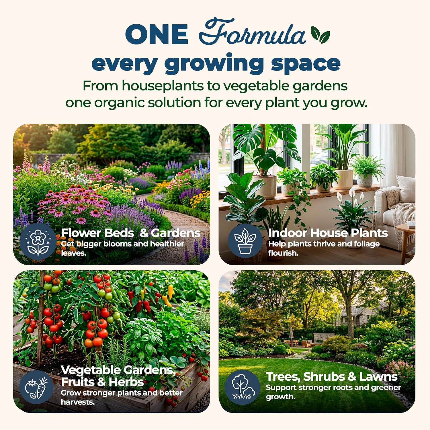 Organic Plant Magic Fertilizer & Plant Food for House Plants & Garden 1lb