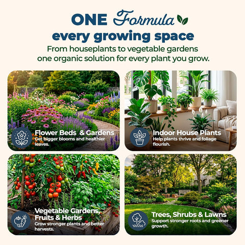 Organic Plant Magic Fertilizer & Plant Food for House Plants & Garden 1lb