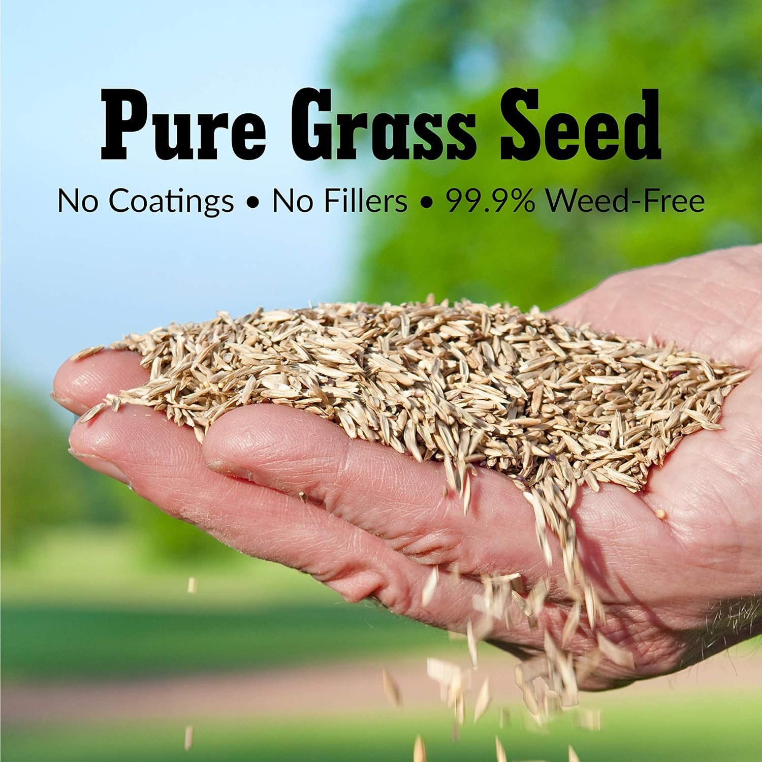 GreenView Turf Type Tall Fescue Grass Seed, Sun & Shade Blend, 20 lb. Bag