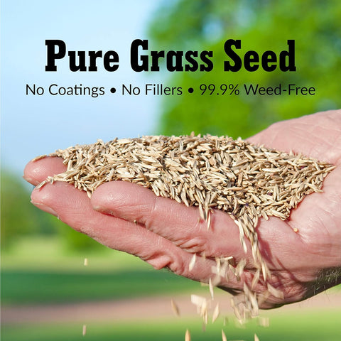 GreenView Turf Type Tall Fescue Grass Seed, Sun & Shade Blend, 20 lb. Bag