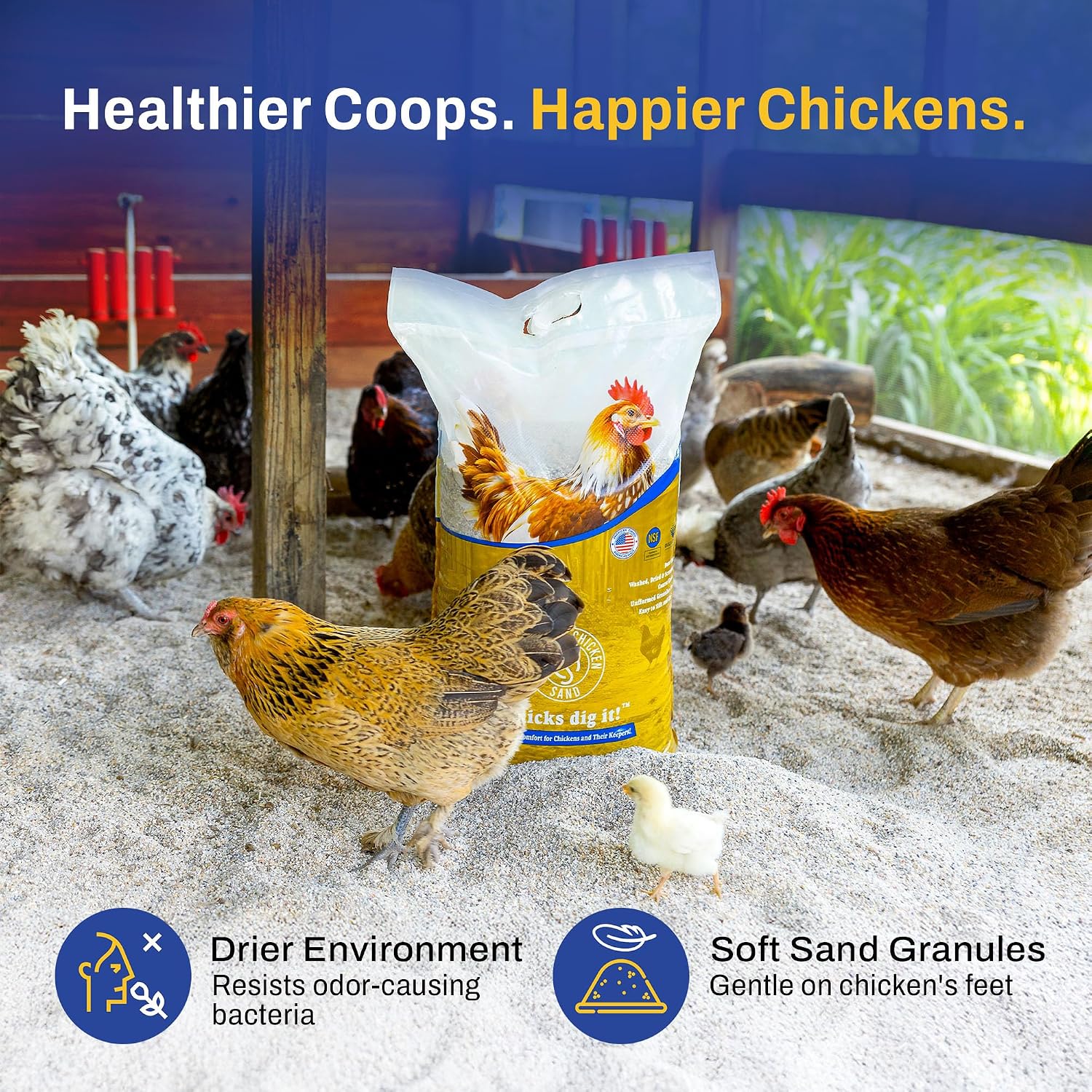 Premium Chicken Sand 50 lbs (2-Pack) – Dust-Free, Odor-Control Bedding for Chicken Coops, Nesting Boxes, and Runs – Natural Poultry Litter, 100 lbs Total