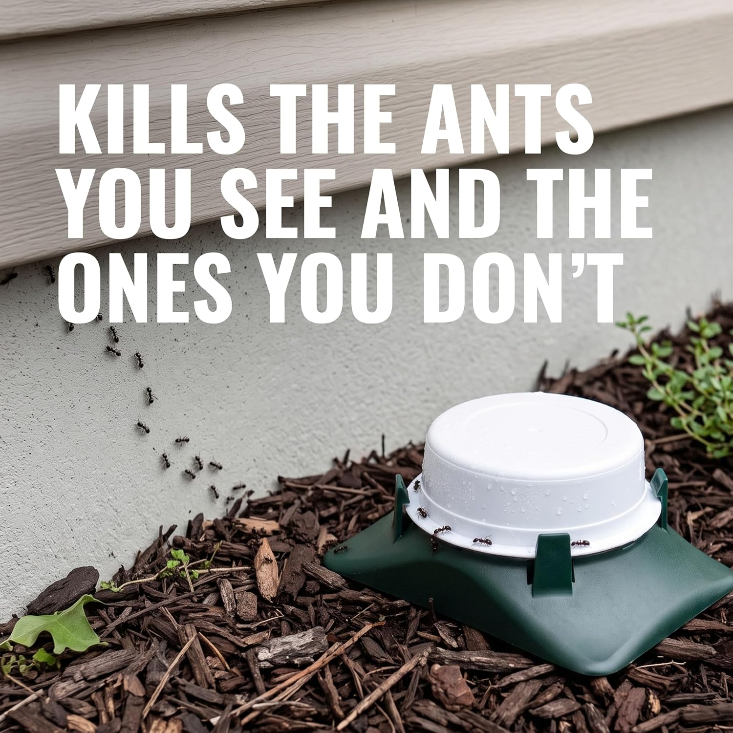 TERRO T1804-6 Outdoor Ready-to-Use Liquid Ant Bait Killer and Trap - Kills Common Household Ants - 4 Bait Stations