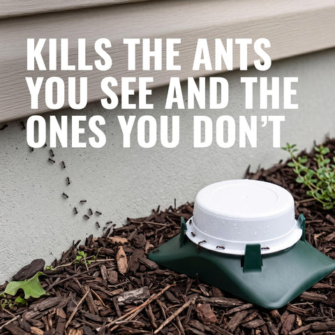TERRO T1804-6 Outdoor Ready-to-Use Liquid Ant Bait Killer and Trap - Kills Common Household Ants - 4 Bait Stations