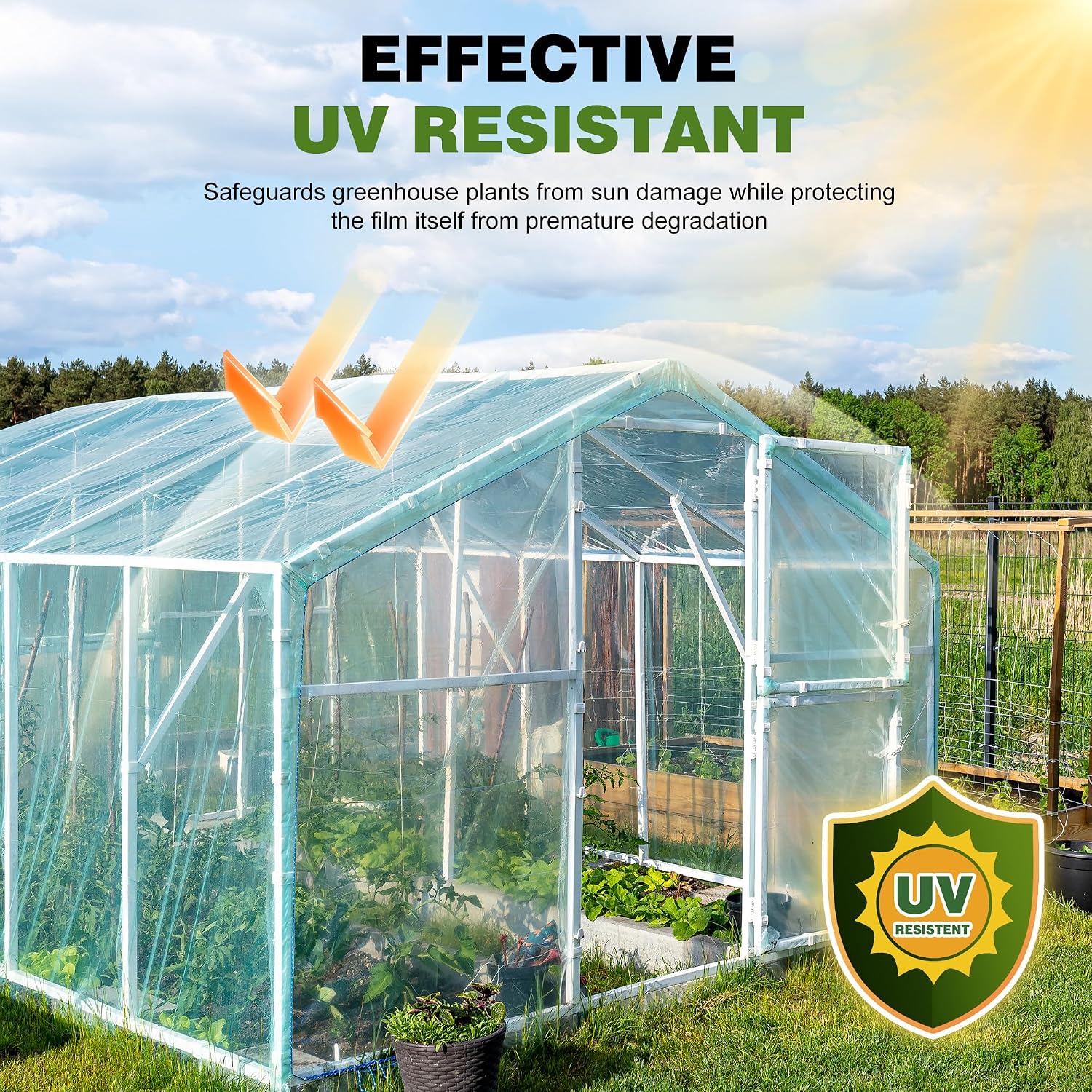 6 Mil Plastic Sheeting, 10x25 FT, Greenhouse Plastic