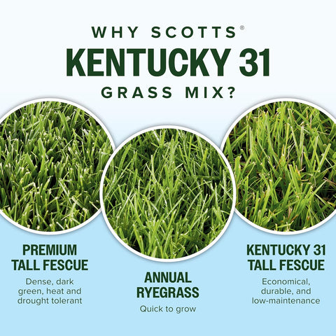 Scotts Kentucky 31 Grass Seed Mix, 20 lbs.
