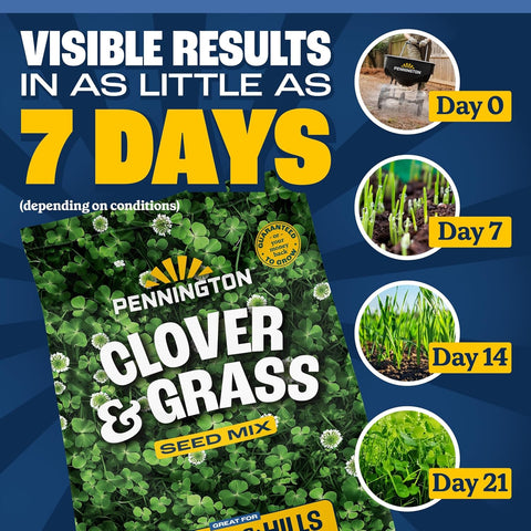 Pennington Clover Grass Seed Mix for Lawn 7lb