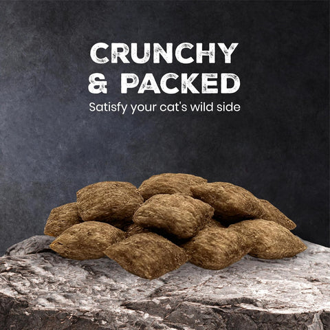 Blue Buffalo Wilderness Tasty Chicken Crunchy Cat Treats, Grain-Free, 12 oz