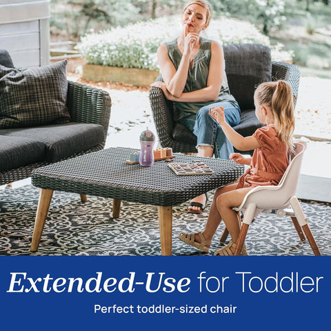Chicco Zest LE 4-in-1 High Chair, Feeding & Toddler Chairs, Youth Stool