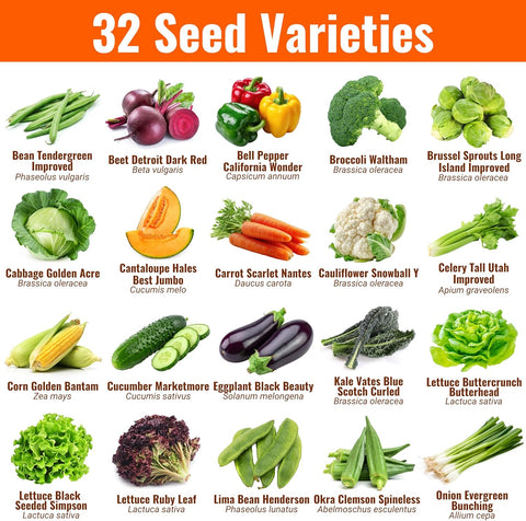 Vegetable & Fruit Seeds, 32 Packs, Non-GMO, 15,000+ Seeds