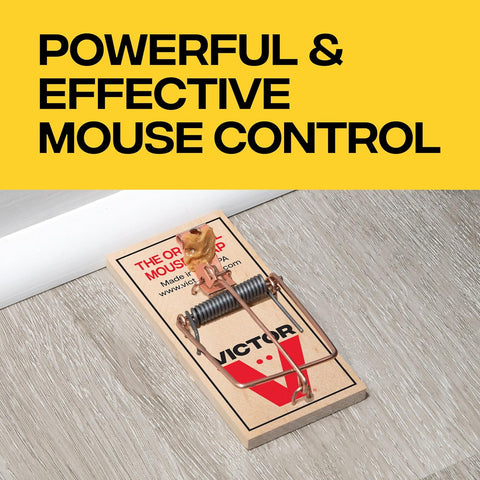 Victor Metal Pedal Mouse Traps, 12-Pack, Reusable Wooden Snap Traps