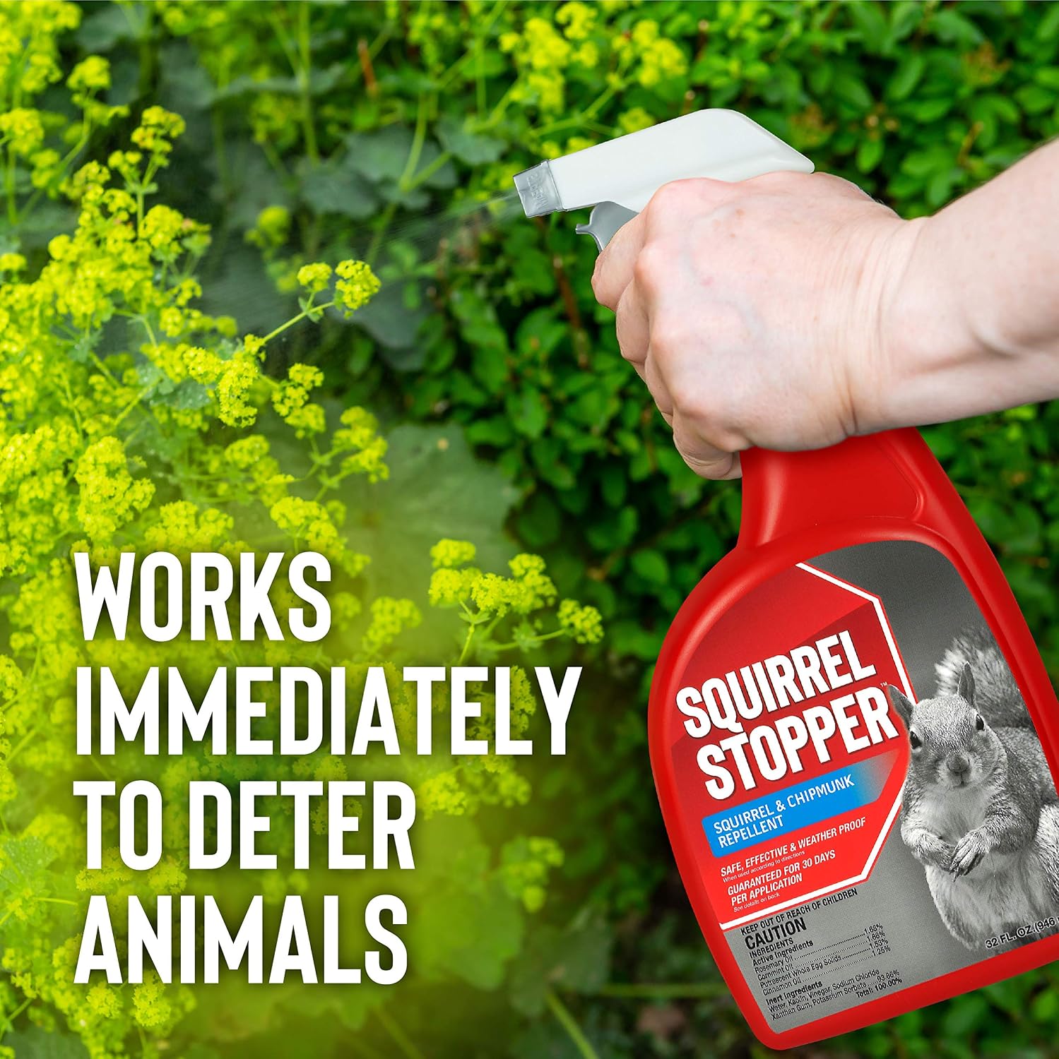 Squirrel Stopper Repellent Spray - Chipmunk & Squirrel Deterrent for Bird Feeders, Garden & Homes - Weather-Resistant Formula - Scent, Taste & Touch Barrier - Safe Around Kids & Pets - 1 Gallon