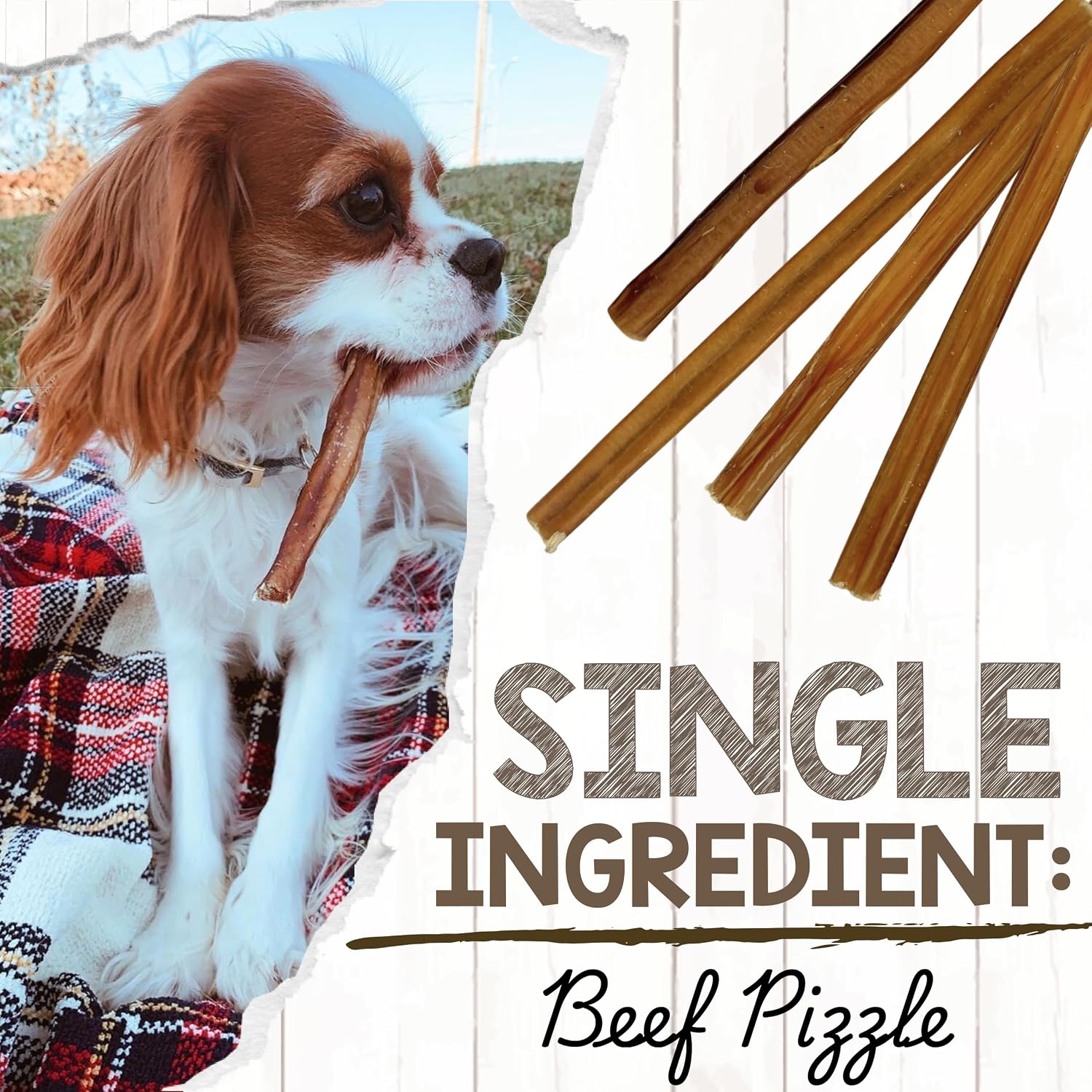 Nature Gnaws Large Bully Sticks 6" Rawhide Free Dog Chews, 3 Count