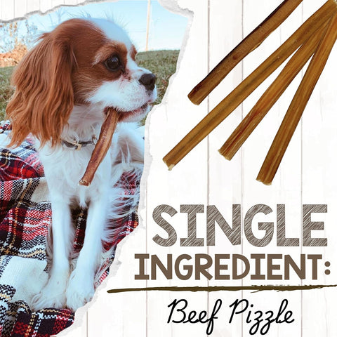 Nature Gnaws Large Bully Sticks 6" Rawhide Free Dog Chews, 3 Count