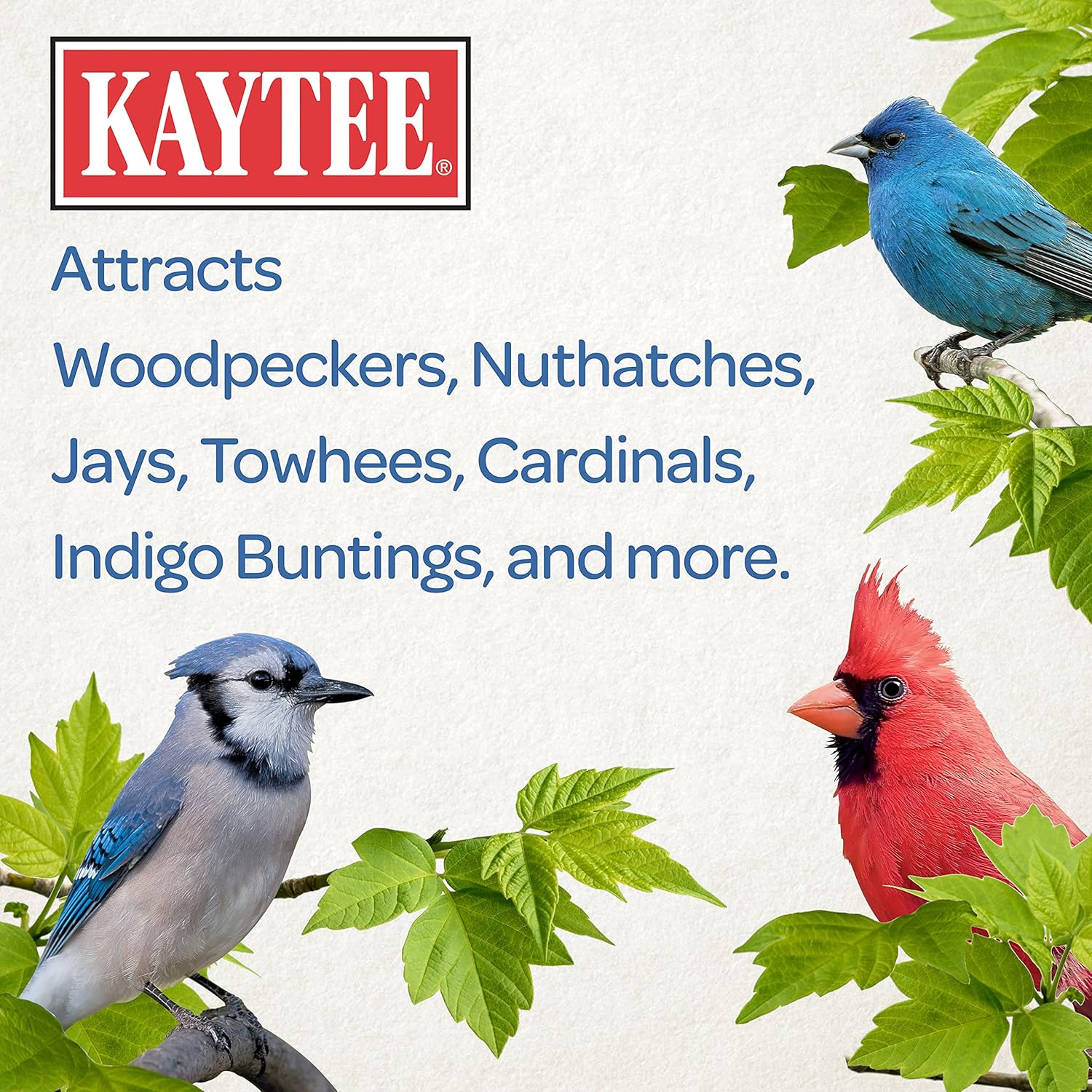 Kaytee Shelled Peanuts for Woodpeckers, Nuthatches, Jays, Towhees, Cardinals, Indigo Buntings & Other Wild Birds, 10 Pound (Pack of 2)