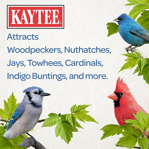 Kaytee Shelled Peanuts for Woodpeckers, Nuthatches, Jays, Towhees, Cardinals, Indigo Buntings & Other Wild Birds, 10 Pound (Pack of 2)