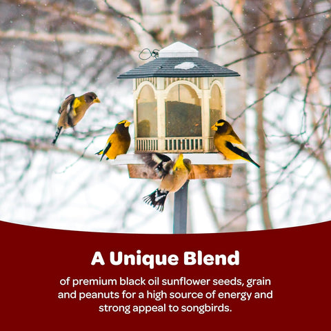 Kaytee Songbird Wild Bird 14 Pounds