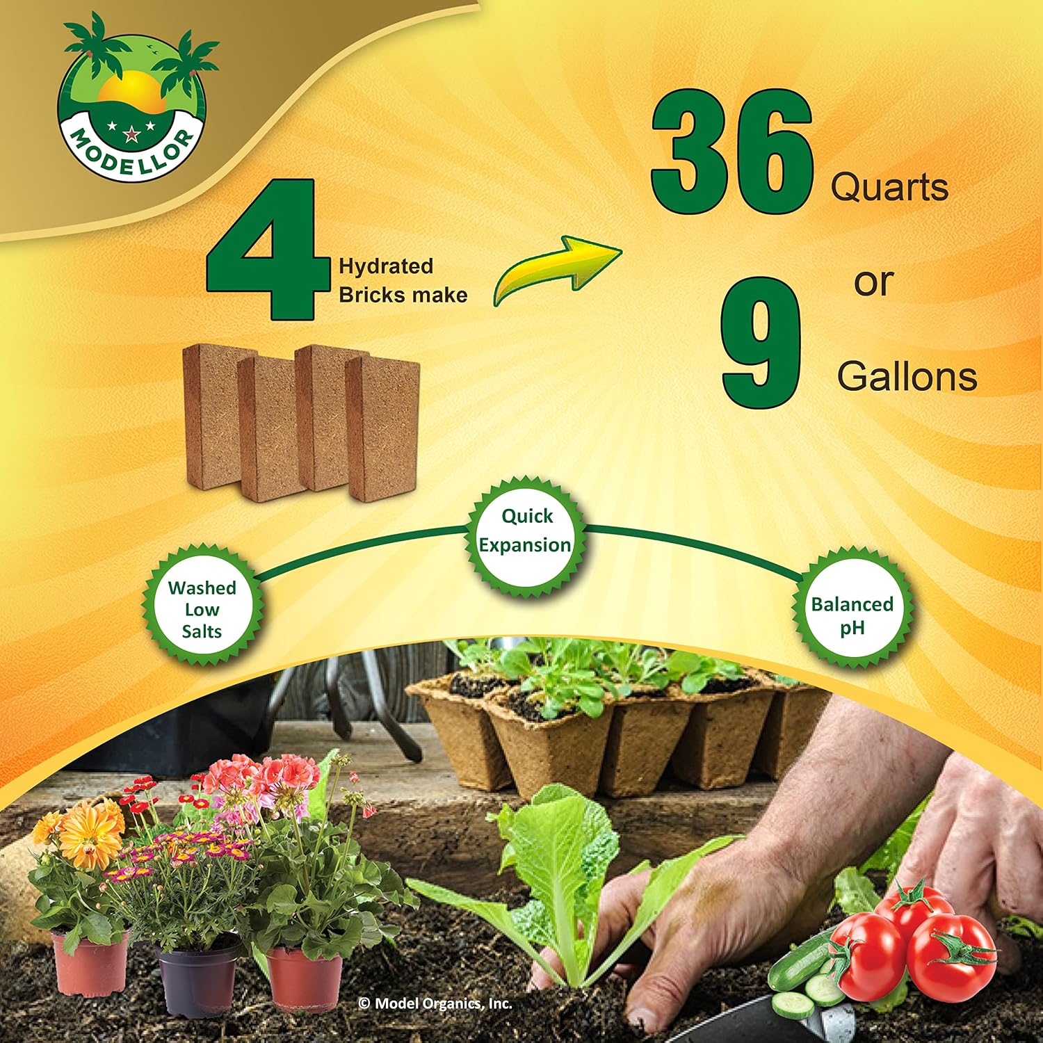 MODELLOR Coco Coir Bricks, 4-Pack (5 lb) – Premium Super Washed, Yields 9 Gallons (36 Quarts), Organic, pH-Balanced Growing Medium for Seed Starting & Gardening