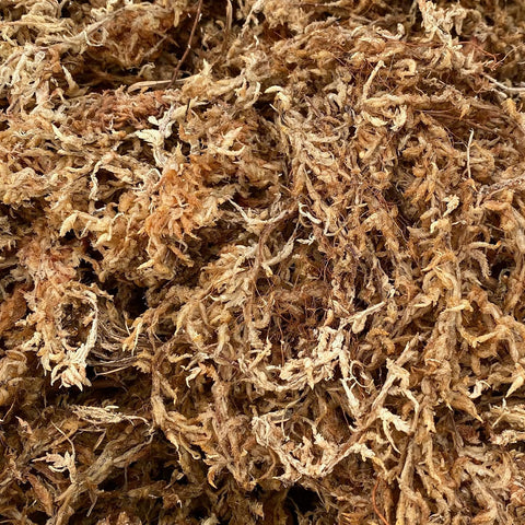 Better-Gro Premium Grade Sphagnum Moss for Orchids & Plants - 190 cu in