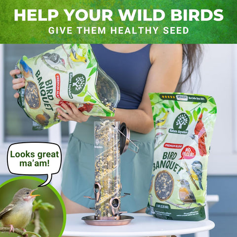 Wild Bird Seed for Outside Feeders, No Filler Sunflower Bird Food, 40 lb
