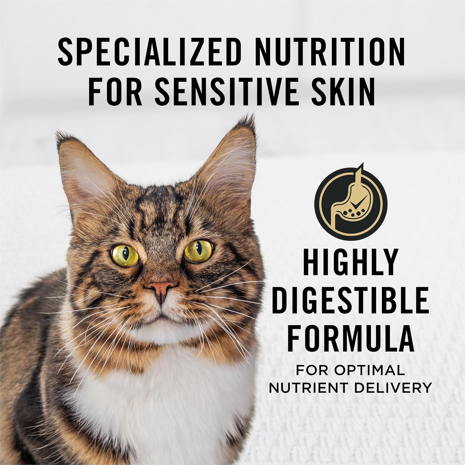 Purina Pro Plan Sensitive Skin & Stomach Dry Cat Food, Real Lamb, 7 lb Bag