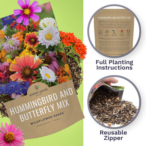 Bulk Wildflower Seeds Butterfly and Hummingbird Mix - 1 Pound Bag - Over 120,000 Open Pollinated Annual and Perennial Seeds