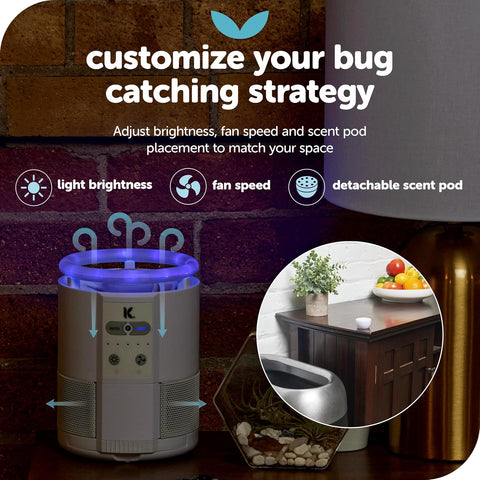 Katchy Duo – Indoor Flying Insect Trap with Scent Pod – Day & Night Effective – Mosquito, Fruit Fly, Gnat & Small Moth Catcher – Non-Zapper Trap with Blue UV Light & Fan Suction (Black)