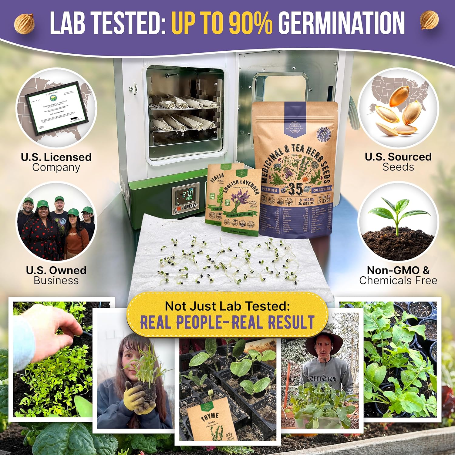 35 Medicinal & Tea Herb Seeds Variety Pack for Indoor & Outdoors. 16,335+ Non-GMO Heirloom Garden Seeds: Anise, Bergamot, Borage, Cilantro, Chamomile, Dandelion, Rosemary Seeds & More
